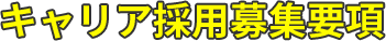 キャリア採用募集要項