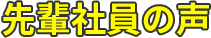 先輩社員の声